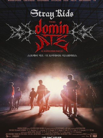 STRAY KIDS : THE DOMINATE EXPERIENCE